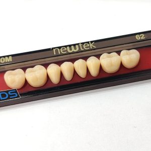 TABLILLA DIENTE ACRILICO ADULTO NEW TECK